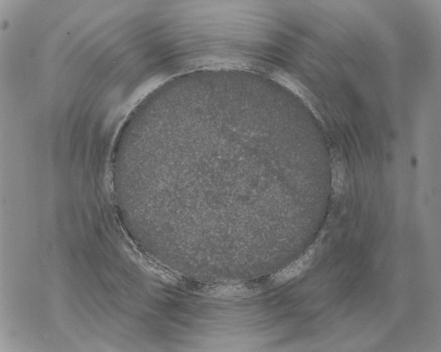 X0000071771074200607282207