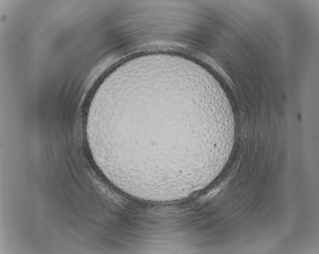 X0000071771075200607282207