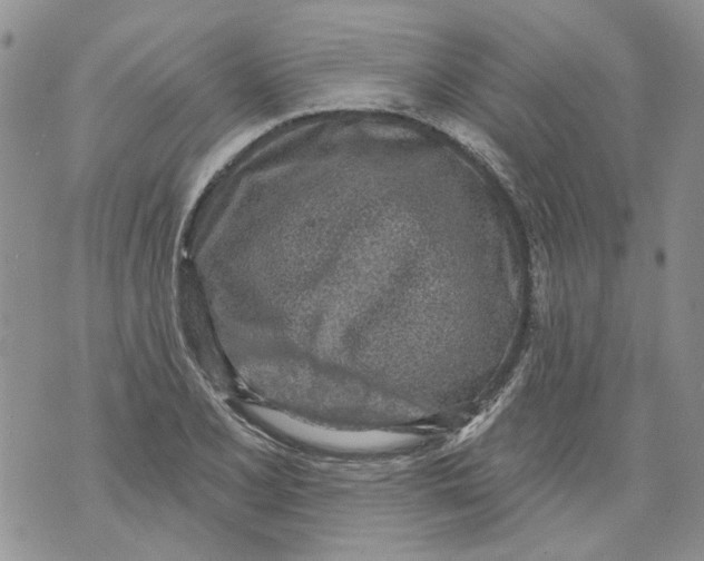 X0000071771077200607282207