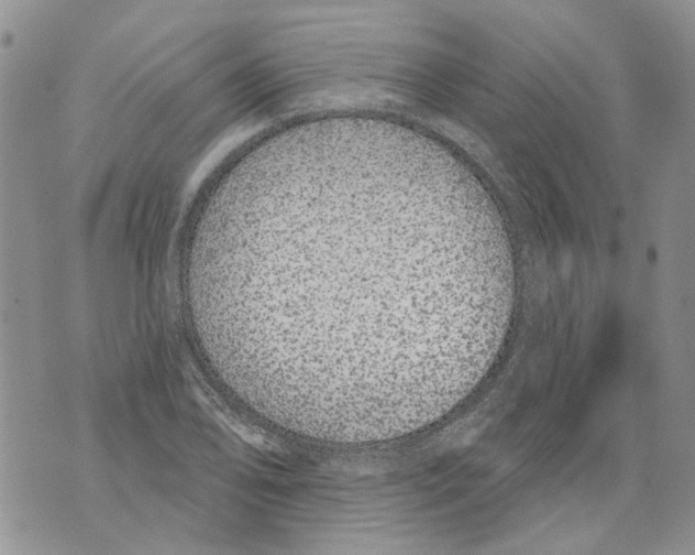 X0000071771078200607282207