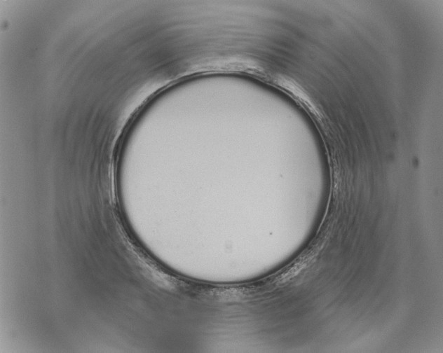 X0000071771079200607282207