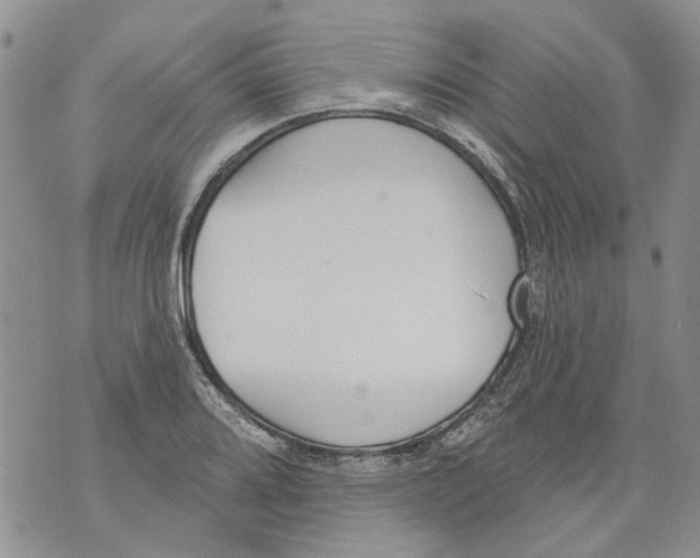 X0000071771080200607282207