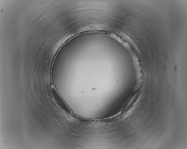 X0000071771081200607282207