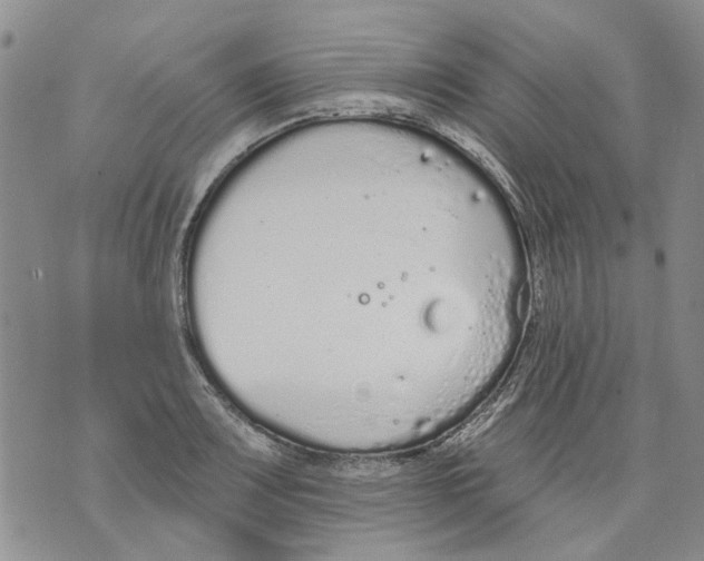 X0000071771083200607282207