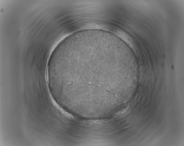 X0000071771084200607282207