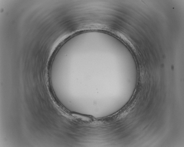 X0000071771085200607282207