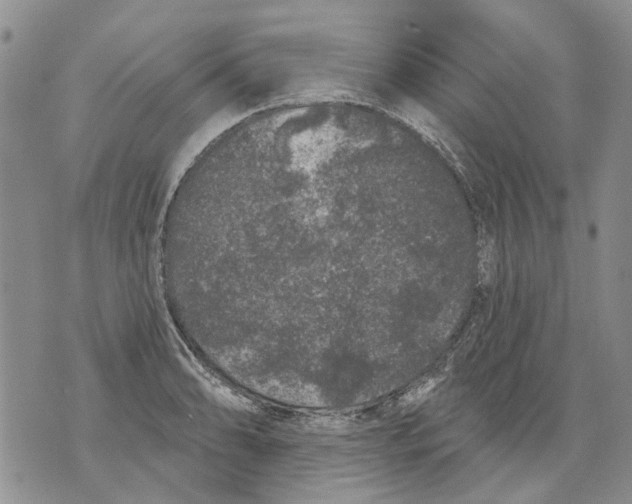 X0000071771086200607282207