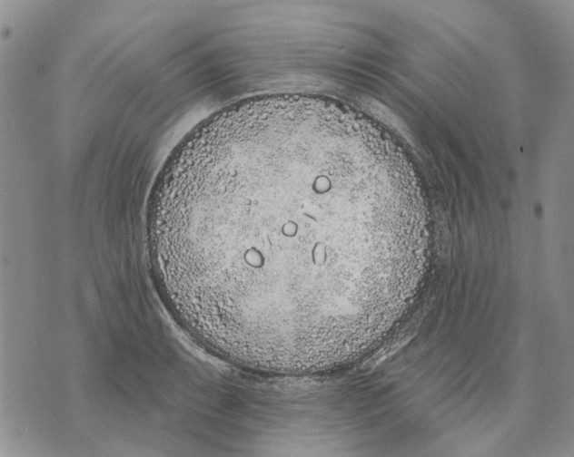 X0000071771087200607282207