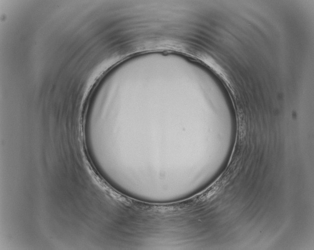 X0000071771088200607282207