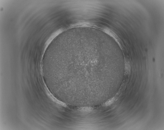 X0000071771090200607282207