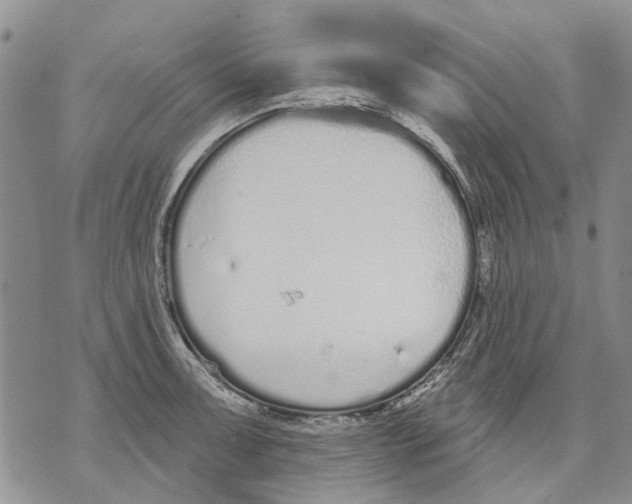 X0000071771091200607282207