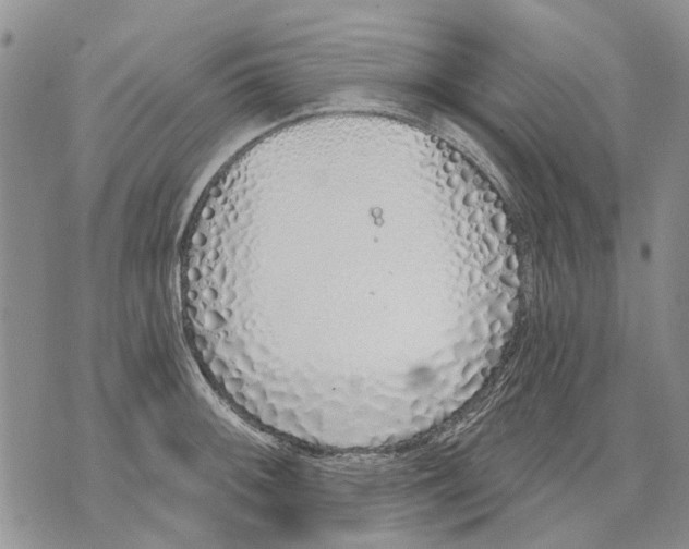 X0000071771092200607282207