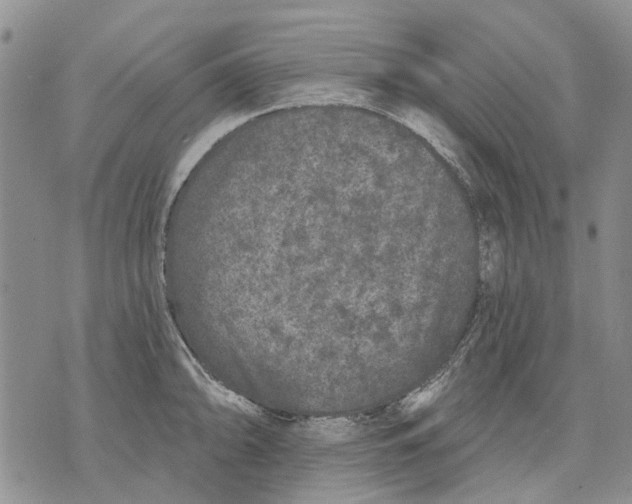 X0000071771094200607282207