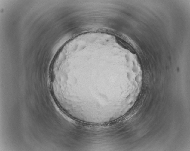 X0000071771095200607282207