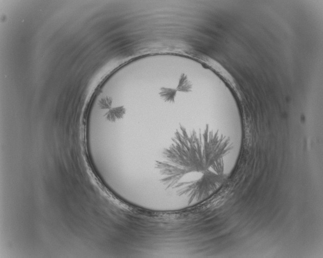 X0000071771096200607282207