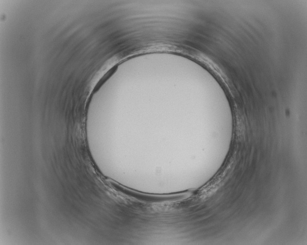 X0000071771097200607282207