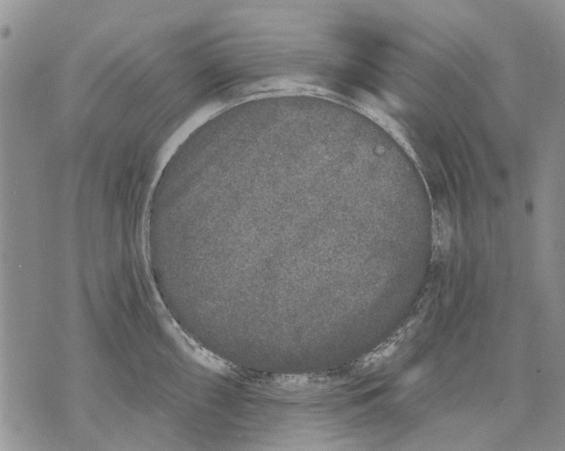 X0000071771098200607282207