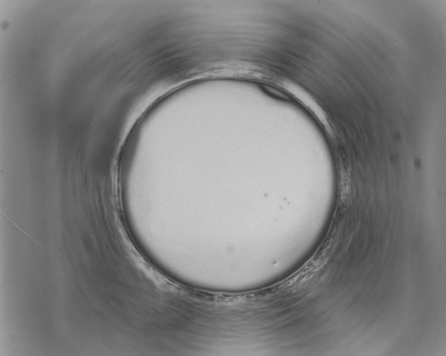 X0000071771099200607282207