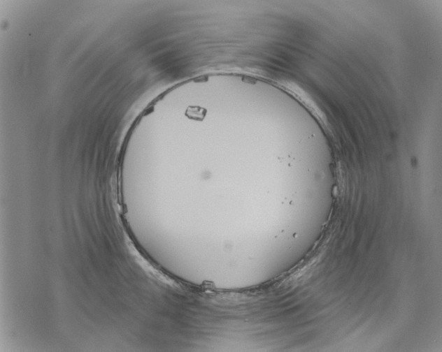 X0000071771100200607282207