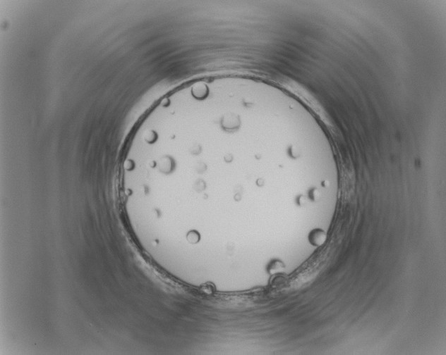 X0000071771101200607282207