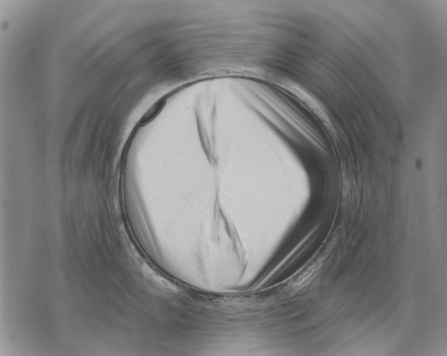 X0000071771102200607282207