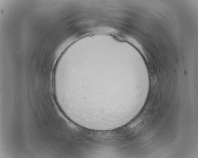 X0000071771103200607282207