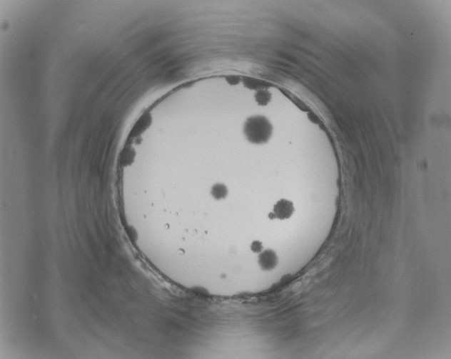 X0000071771104200607282207