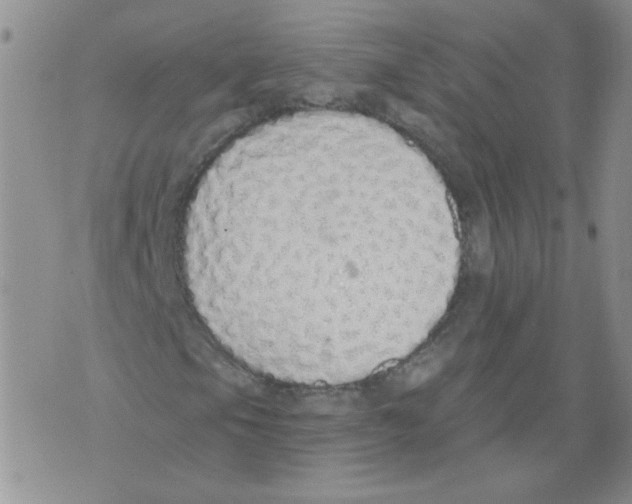 X0000071771105200607282206