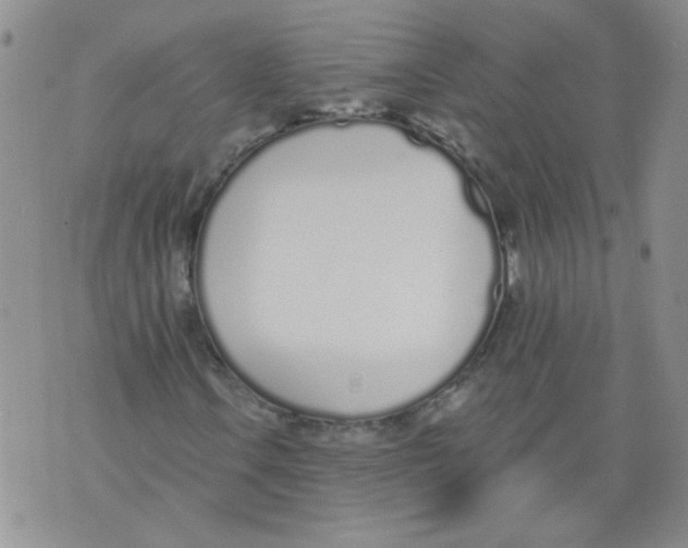 X0000071771106200607282206