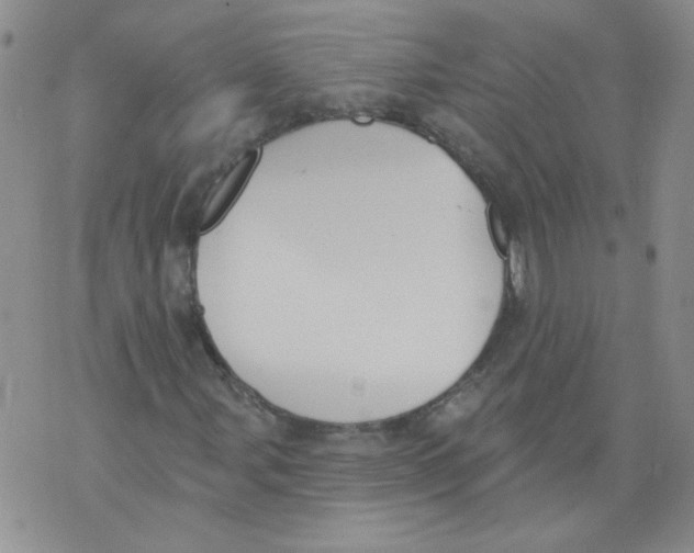 X0000071771107200607282206