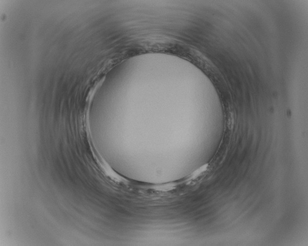 X0000071771108200607282206