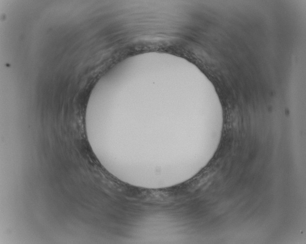 X0000071771109200607282206