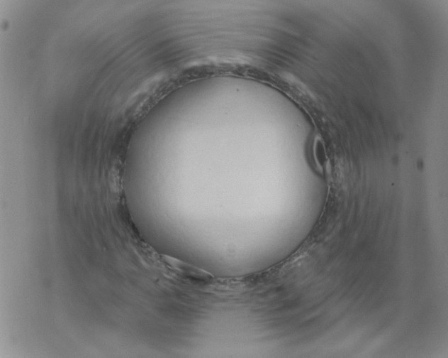 X0000071771110200607282206