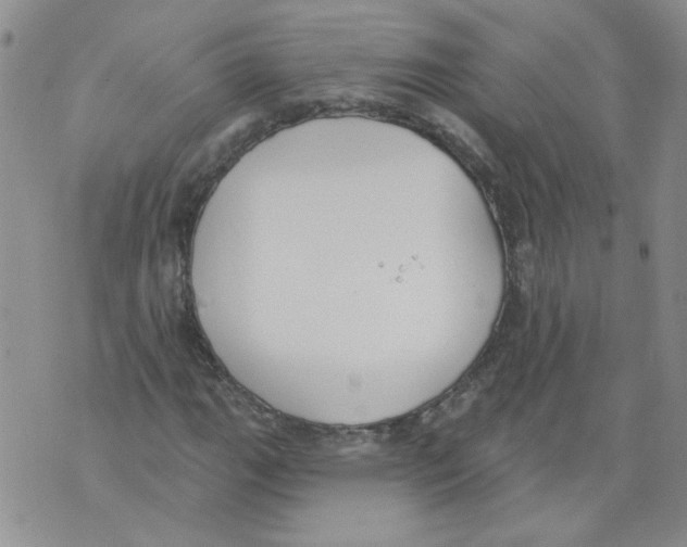 X0000071771111200607282206