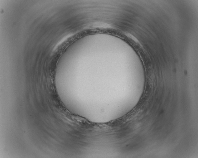 X0000071771112200607282206