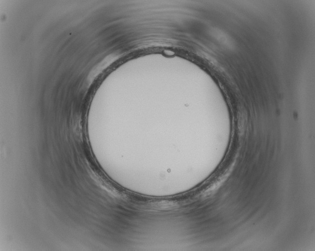 X0000071771113200607282206