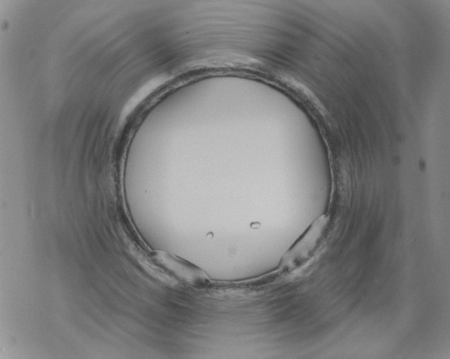 X0000071771114200607282206