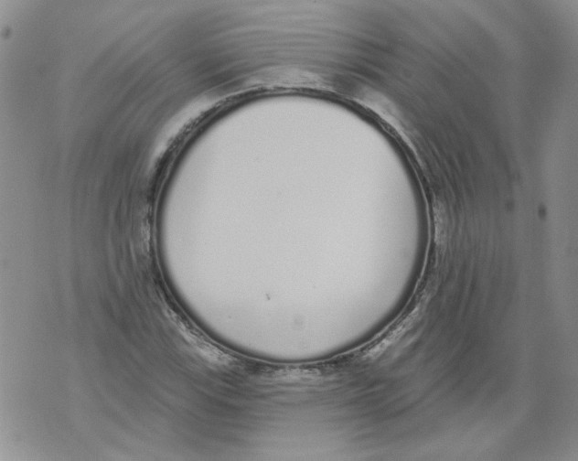 X0000071771115200607282206