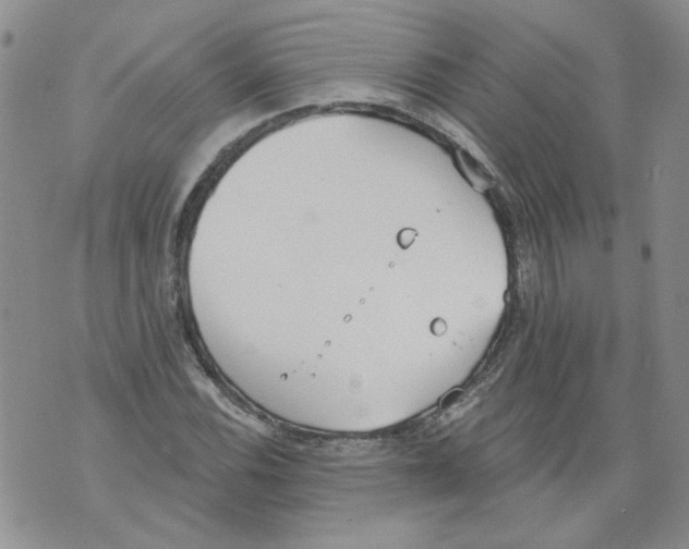 X0000071771116200607282206