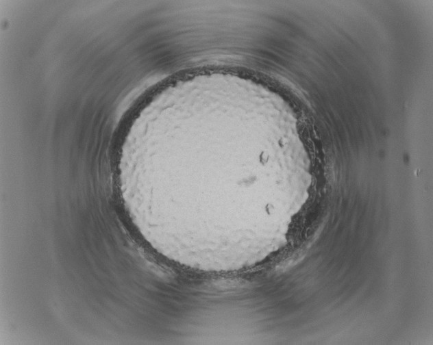 X0000071771117200607282206