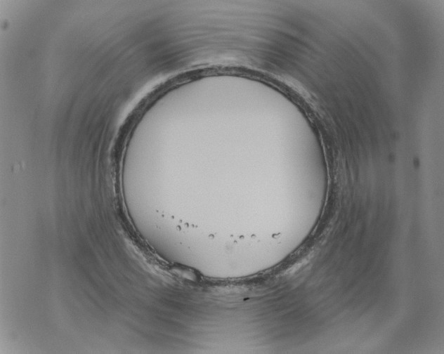 X0000071771118200607282206