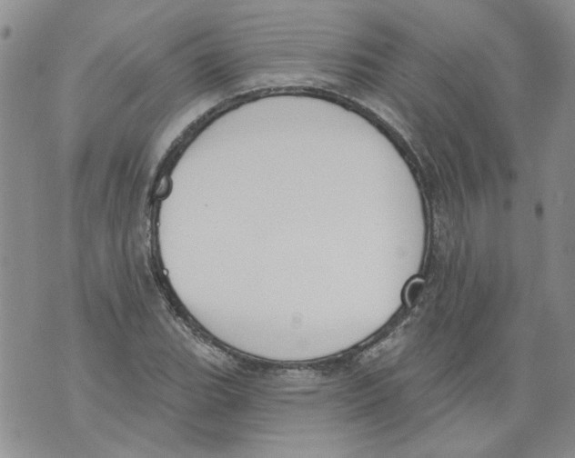 X0000071771119200607282206