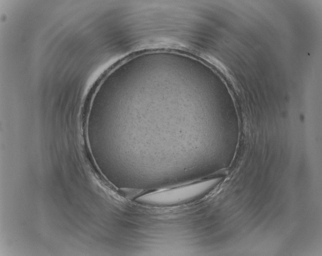 X0000071771120200607282206