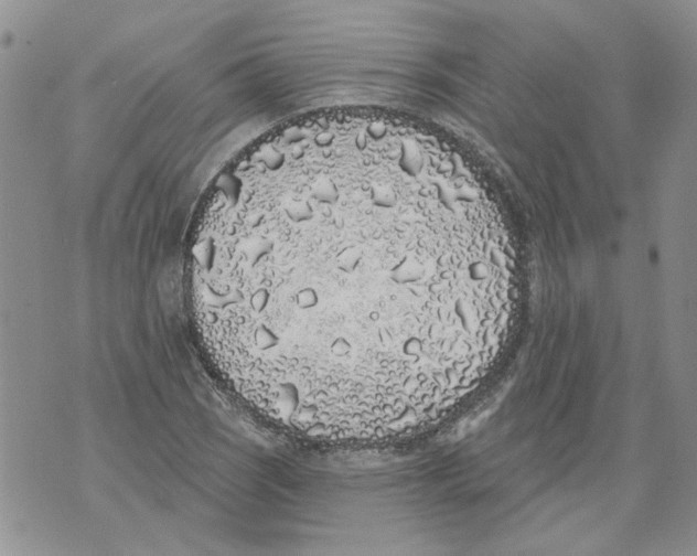 X0000071771121200607282206