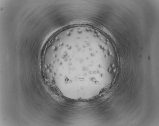 X0000071771124200607282206