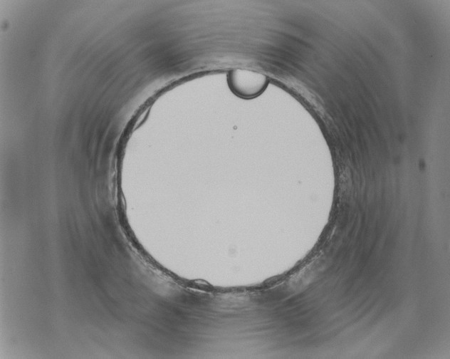 X0000071771126200607282206