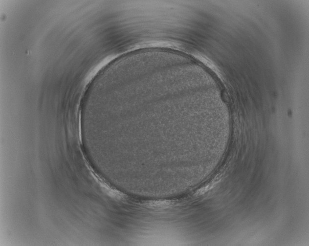 X0000071771127200607282206