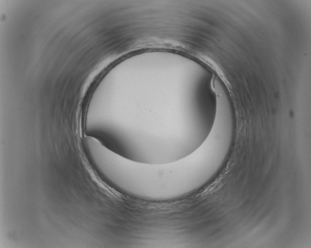 X0000071771128200607282206