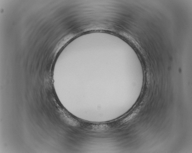 X0000071771129200607282206