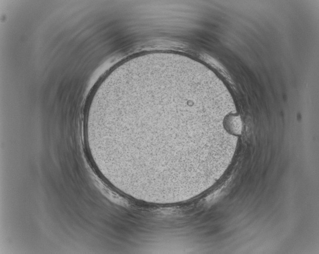 X0000071771130200607282206